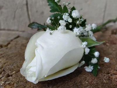 Svatební vazby (10)