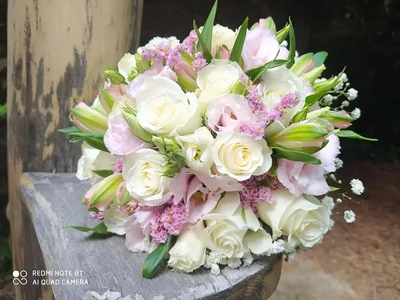 Svatební vazby (15)