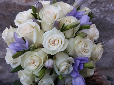 Svatební vazby (19)