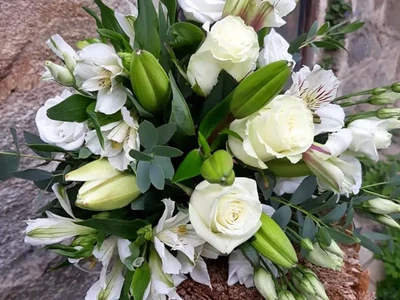 Svatební vazby (22)