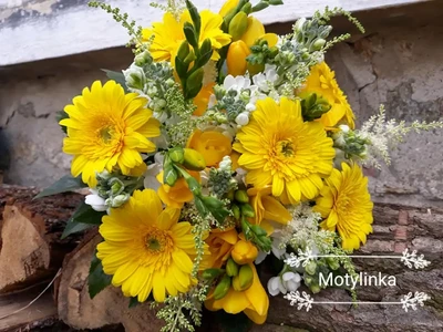 Svatební vazby (28)