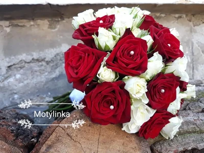 Svatební vazby (34)